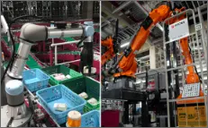 Photo of AI piece picking robot and case loading robot installed at RDC Saitama