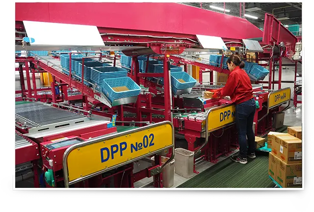 Photo of the next generation rose picking system (Department)
