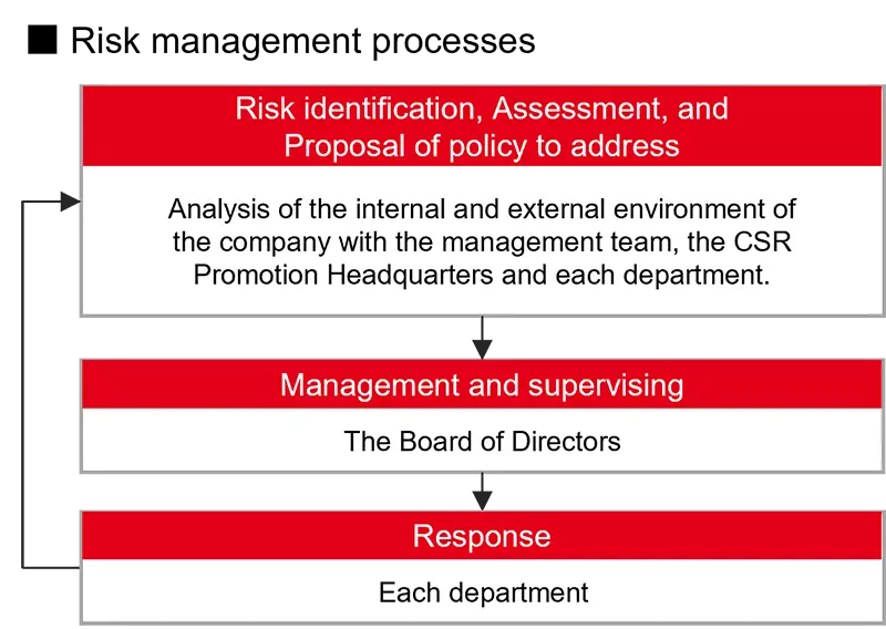 Risk Management Process Flow Chart