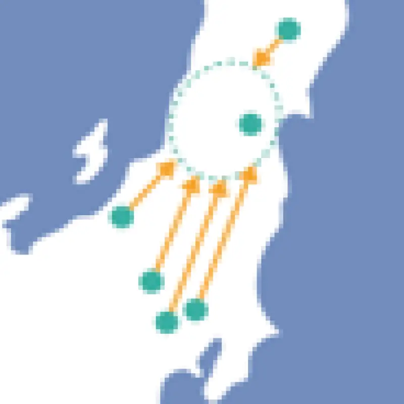 Diagram of alternative shipments